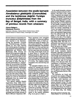 Fishery Bulletin/U S Dept of Commerce National Oceanic and Atmospheric Administration National Marine Fisheries Service V.90