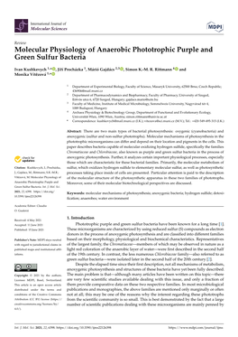 Molecular Physiology of Anaerobic Phototrophic Purple and Green Sulfur Bacteria