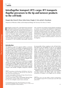 IFT Transports Flagellar Precursors to the Tip and Turnover Products to The