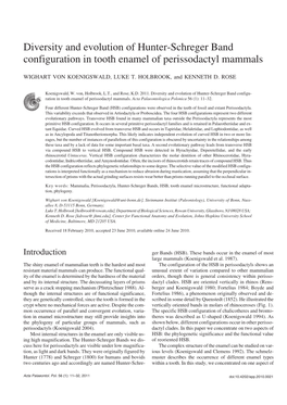 Diversity and Evolution of Hunter−Schreger Band Configuration in Tooth Enamel of Perissodactyl Mammals