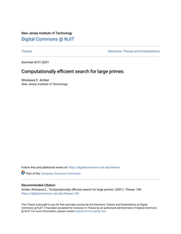 Computationally Efficient Search for Large Primes