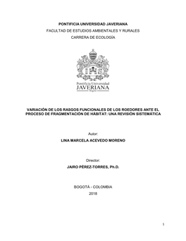 Carta De Autorización