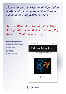 Molecular Characterization of Eight Indian Snakehead Species (Pisces: Perciformes Channidae) Using RAPD Markers