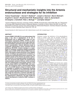 Structural and Mechanistic Insights Into the Artemis Endonuclease and Strategies for Its Inhibition Yuliana Yosaatmadja1,†, Hannah T