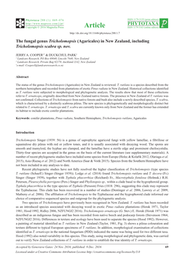 The Fungal Genus Tricholomopsis (Agaricales) in New Zealand, Including Tricholomopsis Scabra Sp