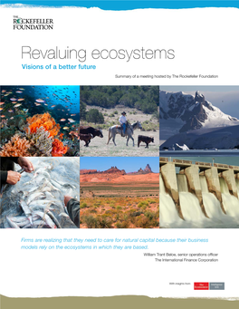 Revaluing Ecosystems Visions of a Better Future Summary of a Meeting Hosted by the Rockefeller Foundation