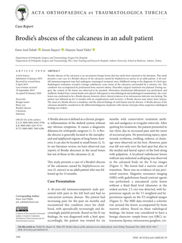 Brodie's Abscess of the Calcaneus in an Adult Patient