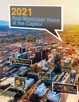 Your Municipal Voice at the Capitol (PDF)
