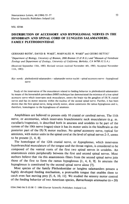 Distribution of Accessory and Hypoglossal Nerves in the Hindbrain and Spinal Cord of Lungless Salamanders, Family Plethodontidae