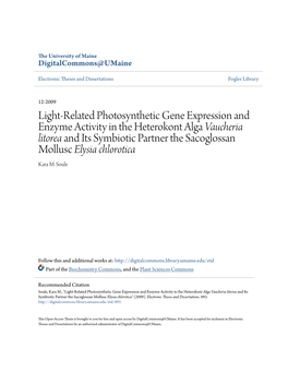 Light-Related Photosynthetic Gene