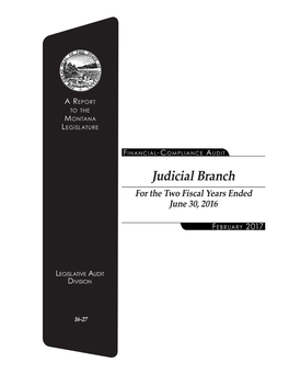 Judicial Branch for the Two Fiscal Years Ended June 30, 2016