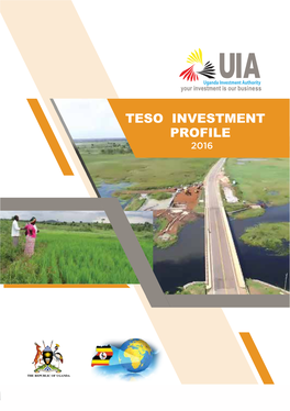 Teso Investment Profile 2016
