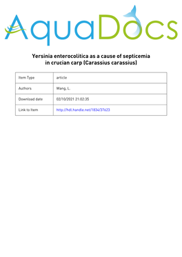 Yersinia Enterocolitica As a Cause of Septicemia in Crucian Carp (Carassius Carassius)