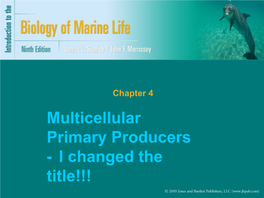 Chapter 4: Marine Plants