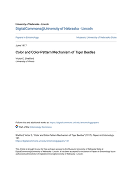Color and Color-Pattern Mechanism of Tiger Beetles