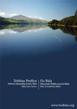 Teithiau Penllyn Go Bala Teithiau Mynyddig Ardal Y Bala Mountain Walks Around Bala Bala, Eryri, Cymru Bala, Snowdonia, Wales