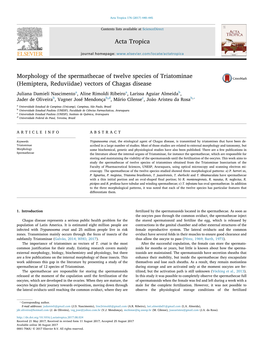 Morphology of the Spermathecae of Twelve Species of Triatominae MARK (Hemiptera, Reduviidae) Vectors of Chagas Disease