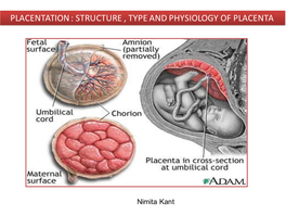 Structure , Type and Physiology of Placenta