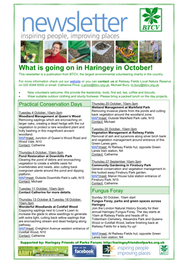 What Is Going on in Haringey in October! This Newsletter Is a Publication from BTCV, the Largest Environmental Volunteering Charity in the Country