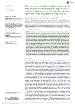 Molecular and Morphological Description of the First Hepatozoon