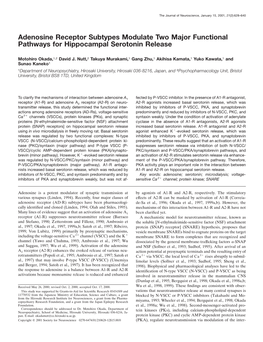 Adenosine Receptor Subtypes Modulate Two Major Functional Pathways for Hippocampal Serotonin Release