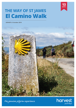 El Camino Walk