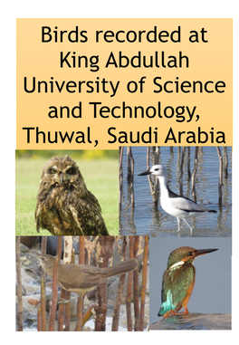 Birds of KAUST