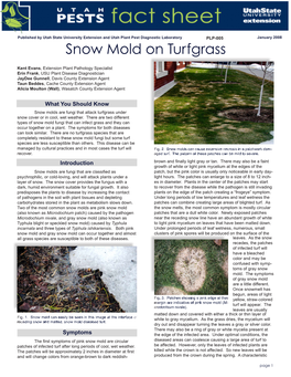Snow Mold on Turfgrass