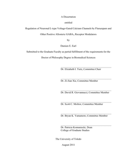 A Dissertation Entitled Regulation of Neuronal L-Type Voltage-Gated