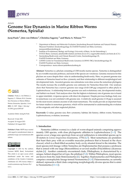 Genome Size Dynamics in Marine Ribbon Worms (Nemertea, Spiralia)