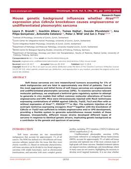 Mouse Genetic Background Influences Whether Hrasg12v Expression Plus Cdkn2a Knockdown Causes Angiosarcoma Or Undifferentiated Pleomorphic Sarcoma