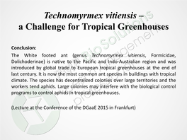 Technomyrmex Vitiensis – a Challenge for Tropical Greenhouses