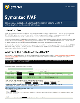 Symantec WAF Remote Code Execution & Command Injection in Apache Struts 2 Authors: Gary Tomic, Shay Berkovich & Colin Delaney