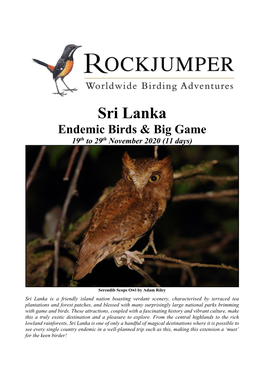 Sri Lanka Endemic Birds & Big Game 19Th to 29Th November 2020 (11 Days)