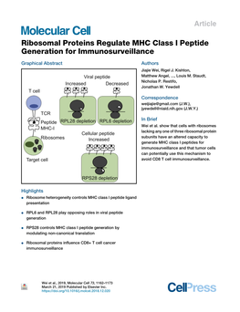 Ribosomal Proteins Regulate MHC Class I Peptide Generation for Immunosurveillance