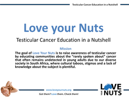 Testicular Cancer Education in a Nutshell