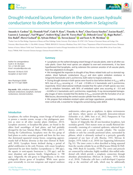 Drought‐Induced Lacuna Formation in the Stem Causes Hydraulic Conductance to Decline Before Xylem Embolism in Selaginella