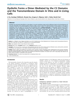 Dysferlin Forms a Dimer Mediated by the C2 Domains and the Transmembrane Domain in Vitro and in Living Cells