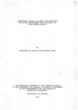 Protoplast Fusion of Citrus for Rootstock and Scion Improvement with Emphasis on Wide Hybridization
