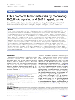 CD73 Promotes Tumor Metastasis by Modulating RICS/Rhoa Signaling