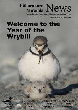 Welcome to the Year of the Wrybill