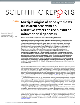 Multiple Origins of Endosymbionts in Chlorellaceae with No Reductive