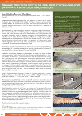 Preliminary Report on the Survey of the Health Status of the Spiny-Tailed Lizard (Uromastyx Sp) in Wrsan Farm, Al Ajban, Abu