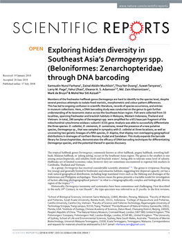 (Beloniformes: Zenarchopteridae) Through DNA Barcoding