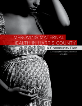 Improving Maternal Health in Harris County: A