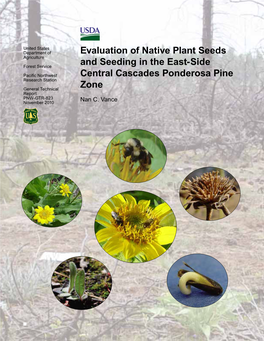 Evaluation of Native Plant Seeds and Seeding in the East-Side Central Cascades Ponderosa Pine Zone