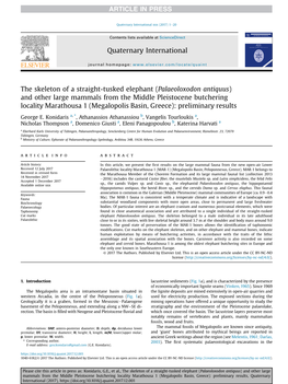 Palaeoloxodon Antiquus) and Other Large Mammals from the Middle Pleistocene Butchering Locality Marathousa 1 (Megalopolis Basin, Greece): Preliminary Results