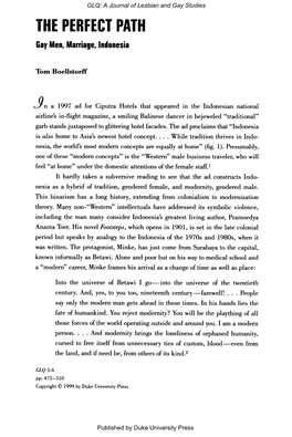 THE PERFECT PATH Gay Men, Marriage, Indonesia