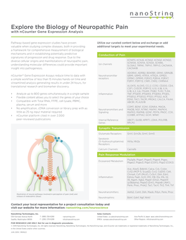 Flyer Explore the Biology of Neuropathic Pain With