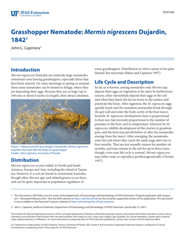 Grasshopper Nematode: Mermis Nigrescens Dujardin, 18421 John L